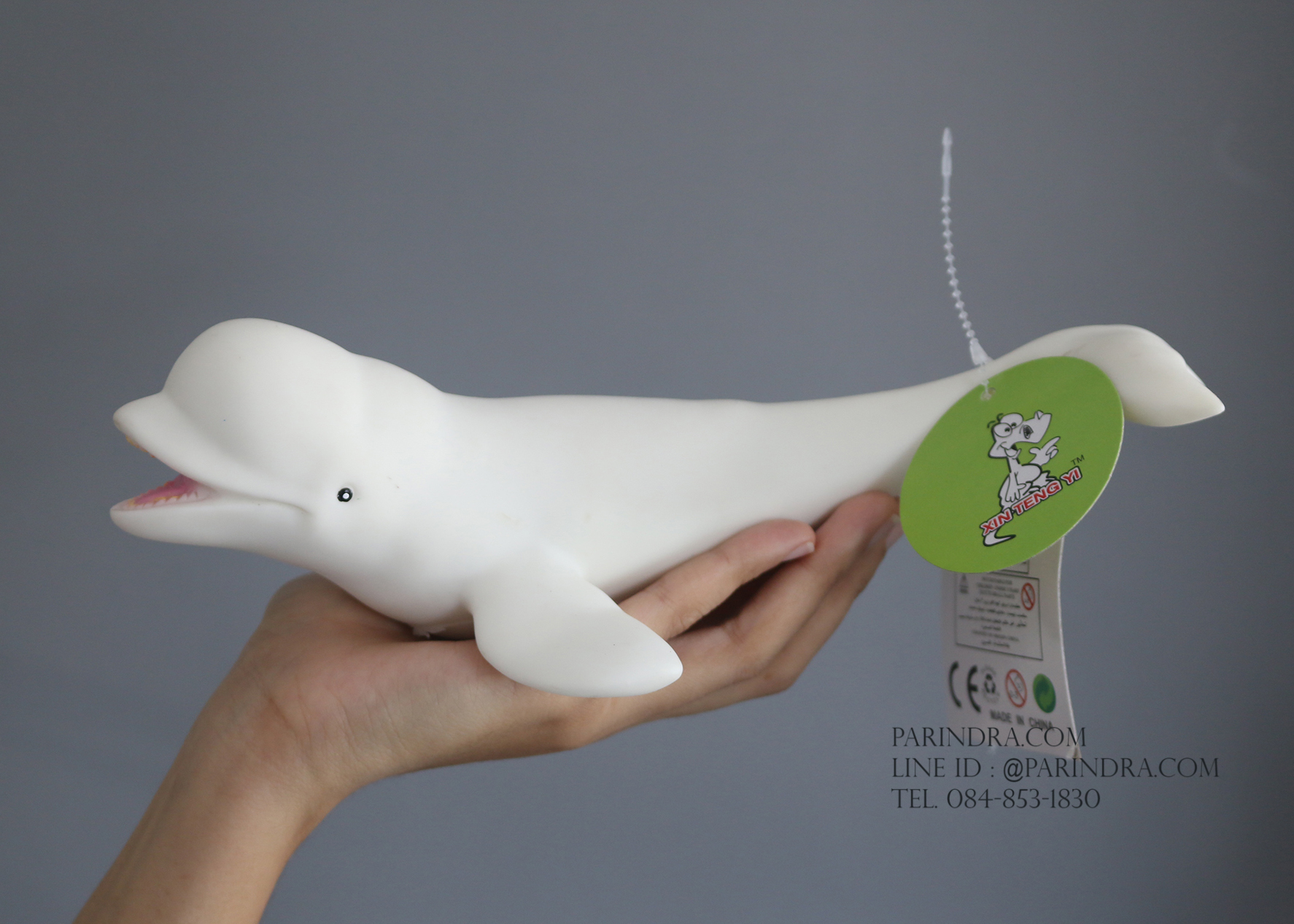 โมเดลปลาวาฬ เบลูก้า Beluga whale ขนาด 1 ฟุต
