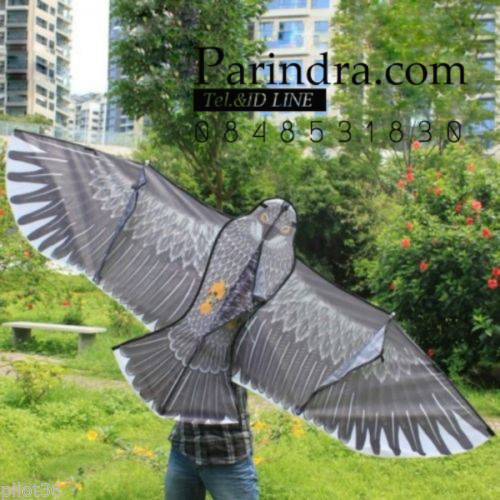 ว่าวนกอินทรีย์ ต่างประเทศ ขนาดปีก 1.5 เมตร น่าเล่นครับ