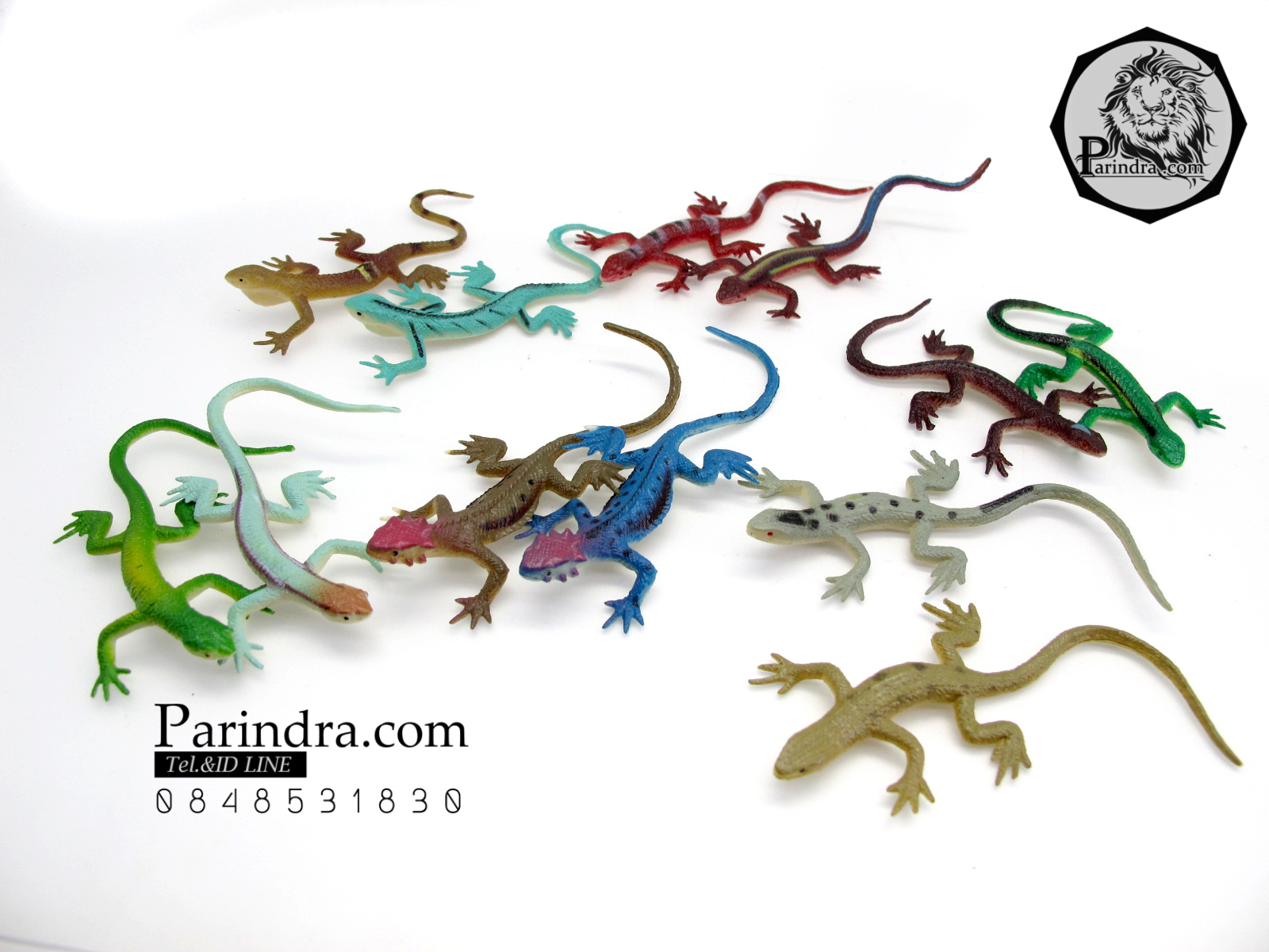 โมเดลกิ้งก่า Educational Toys LIZARD ครบชุด มี 12 แบบ จำนวน 12 ตัว