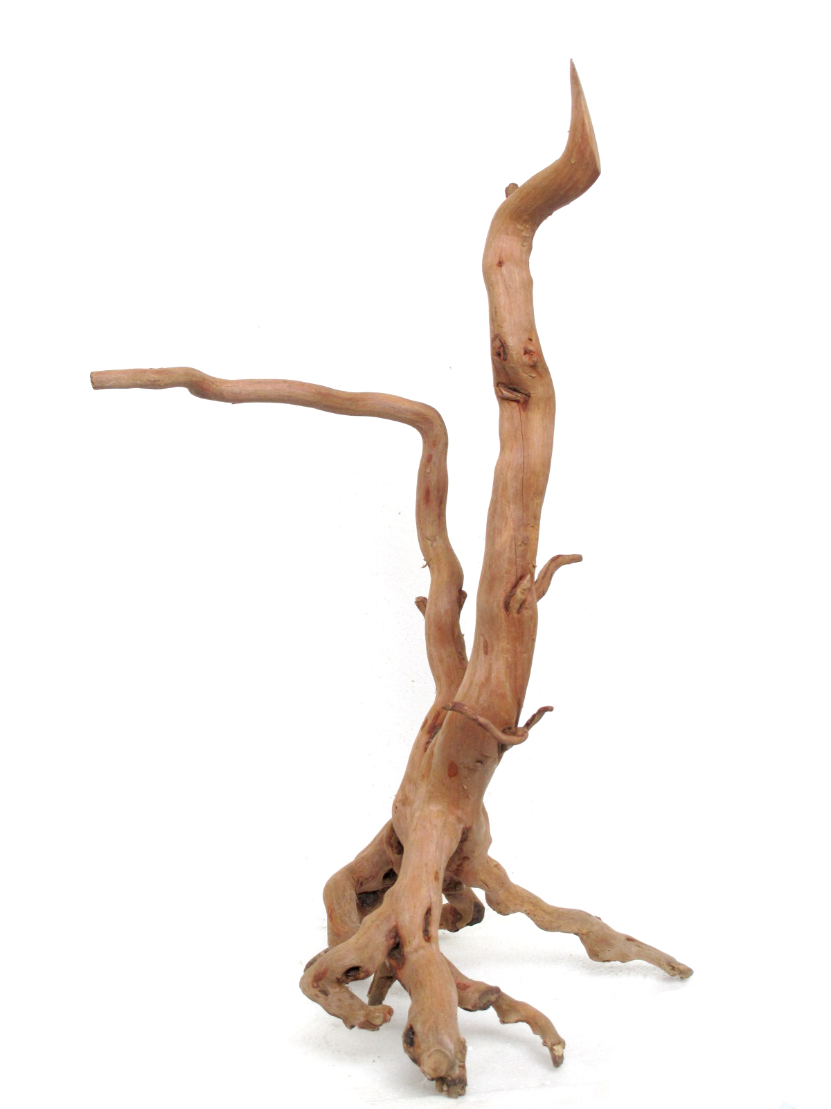 รากไม้แดงตกแต่งตู้ปลาและตู้พรรณไม้น้ำ001