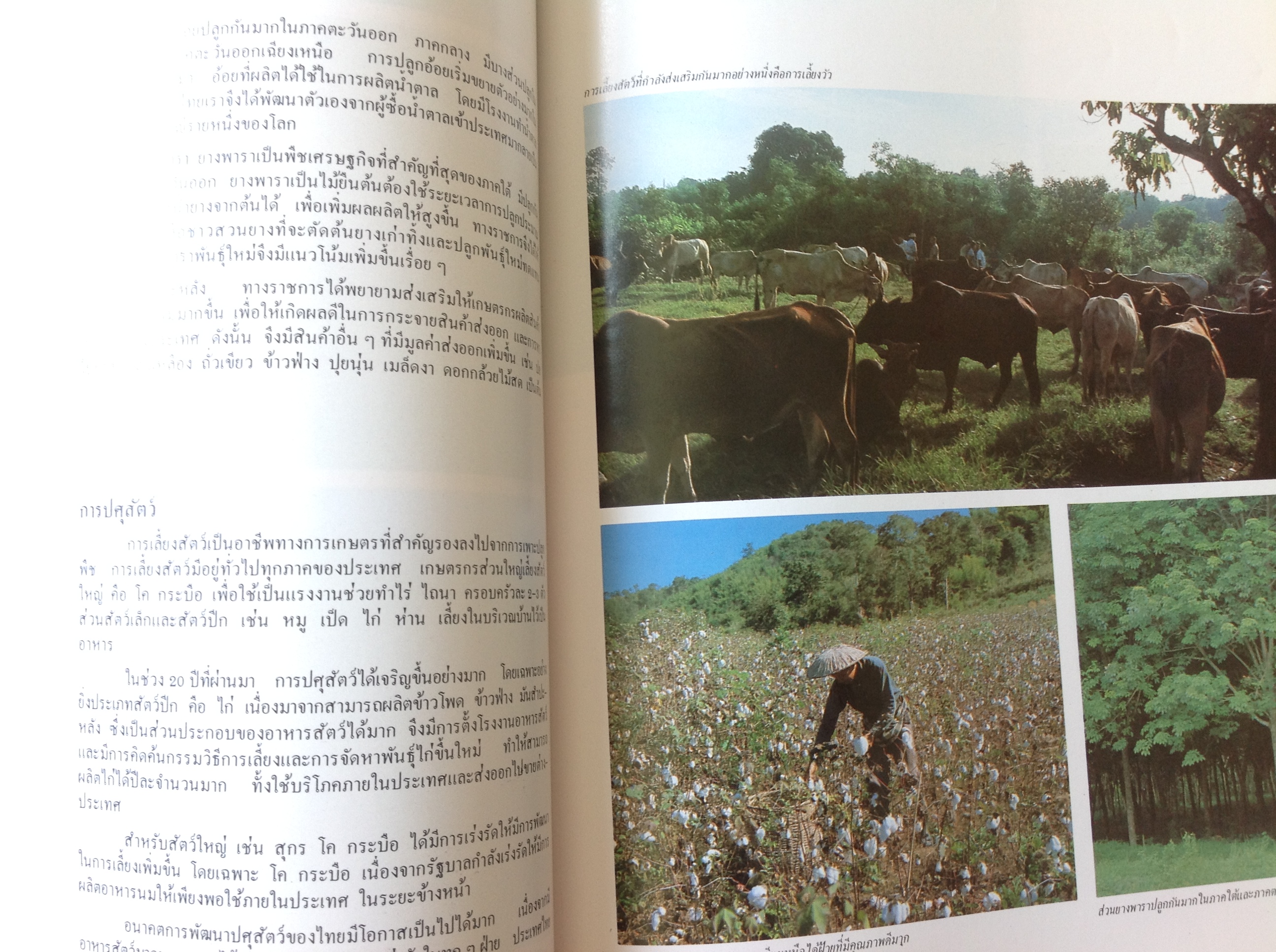 หนังสือเมืองไทยของเรา พศ.2525