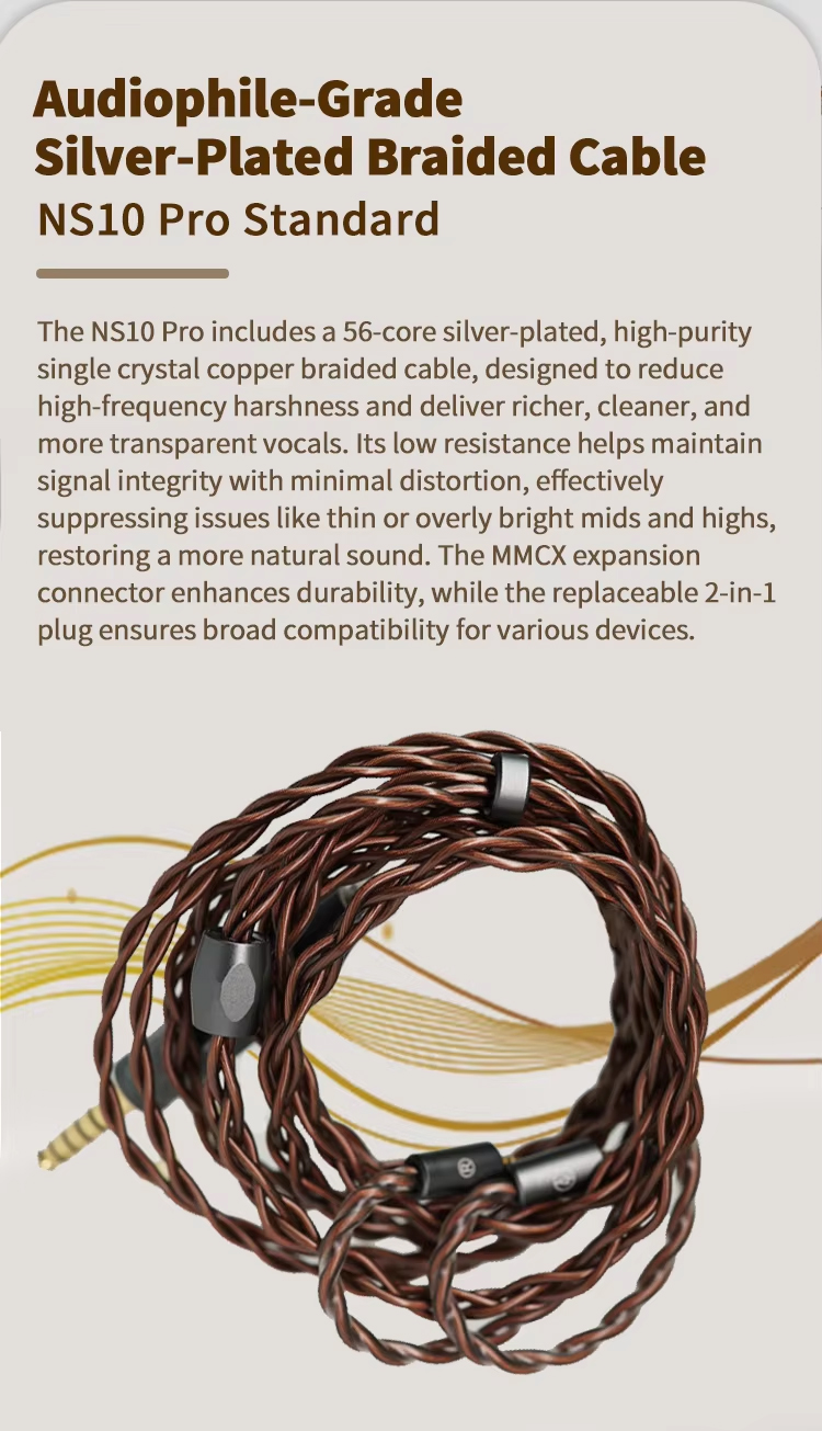 BGVP NS10Pro หูฟัง IEMs 10 ไดรเวอร์ 8BA+2DD สายชุบเงิน เปลี่ยนท่อนำเสียงได้ รองรับ Hi-Res ประกันศูนย์ไทย