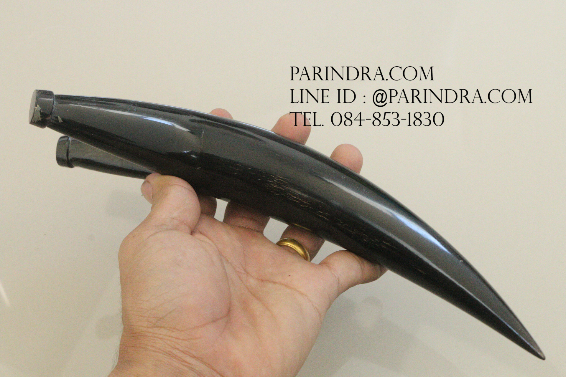 หนังสติ๊กเขาควายตัน สีดำสนิท โค้งงอ เข้ารูปสวยงาม #BAF001