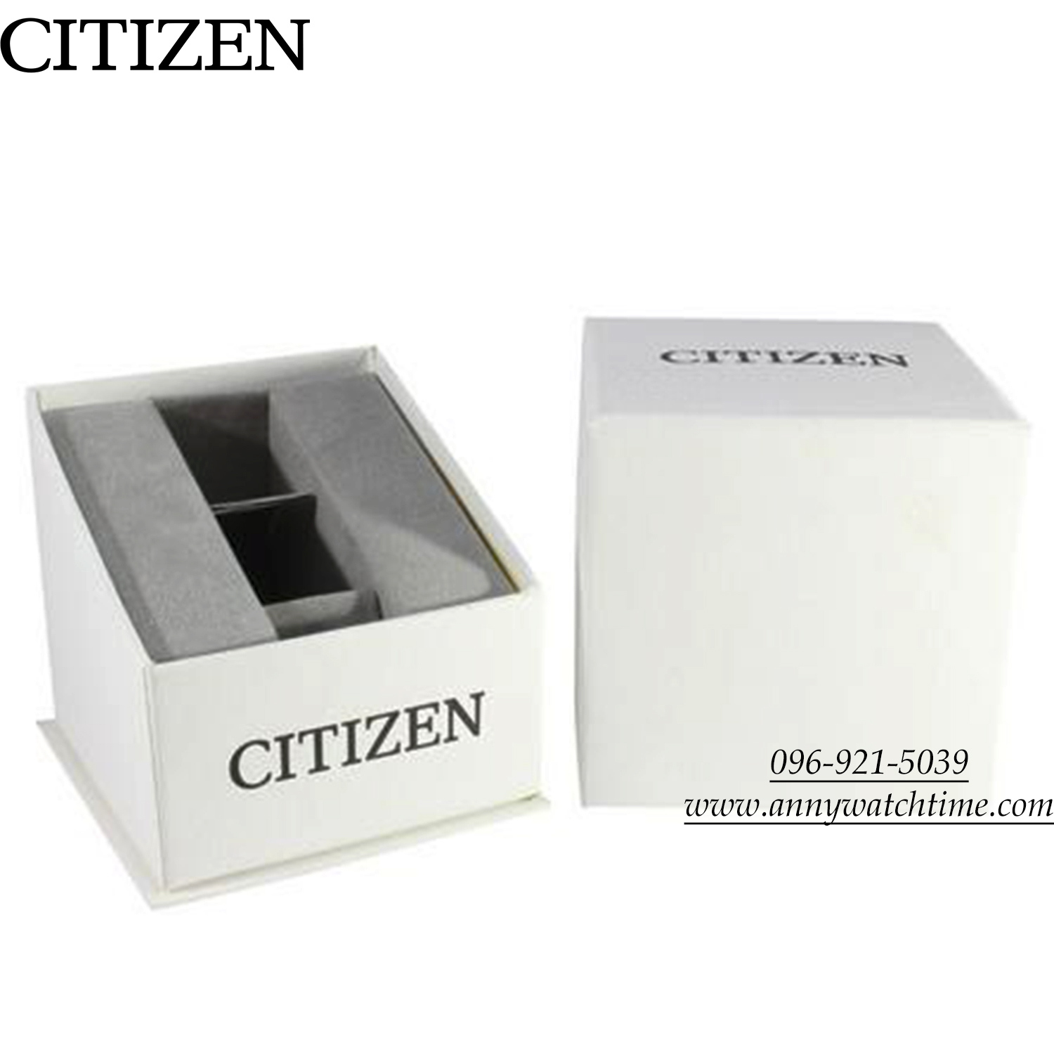 CITIZEN BD0024-53A