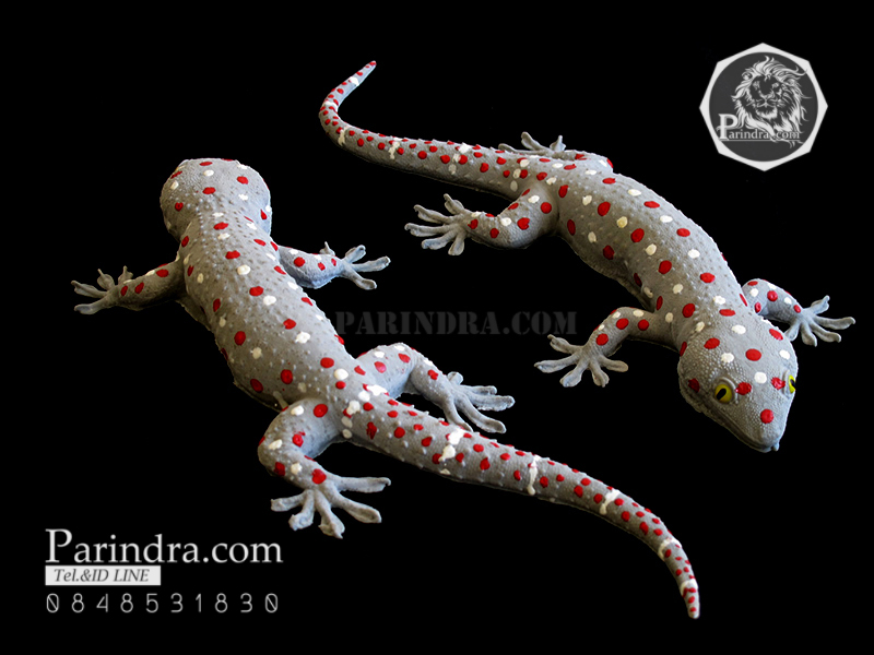 ตุ๊กแกปลอมตัวใหญ่ มาใหม่ เหมือนจริงมาก ขนาด 11 นิ้ว ตัวพ่อ