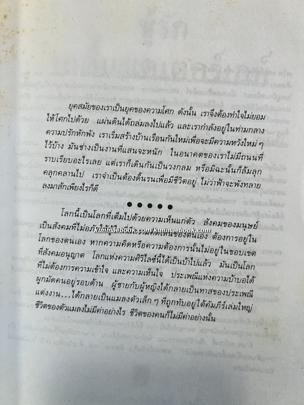 ชู้รักเลดี้แชตเตอร์เลย์ (Lady Chatterley's Lover)