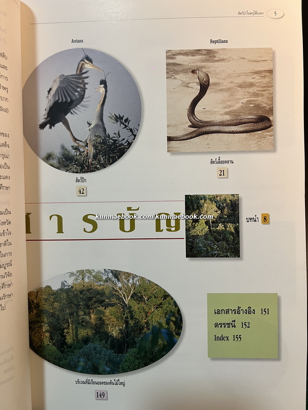 สัตว์ป่าในพรุโต๊ะแดง ( นราธิวาส ) โดย ศูนย์วิจัยและศึกษาธรรมชาติป่าพรุโต๊ะแดง