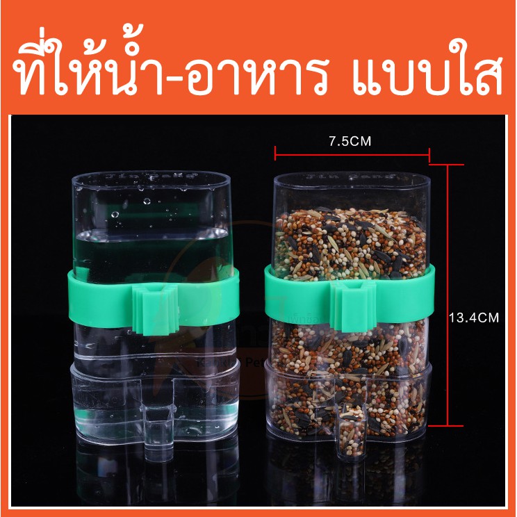 ที่ให้น้ำ-ที่ให้อาหารนกแก้ว ขนาดเล็ก-กลาง แบบใส