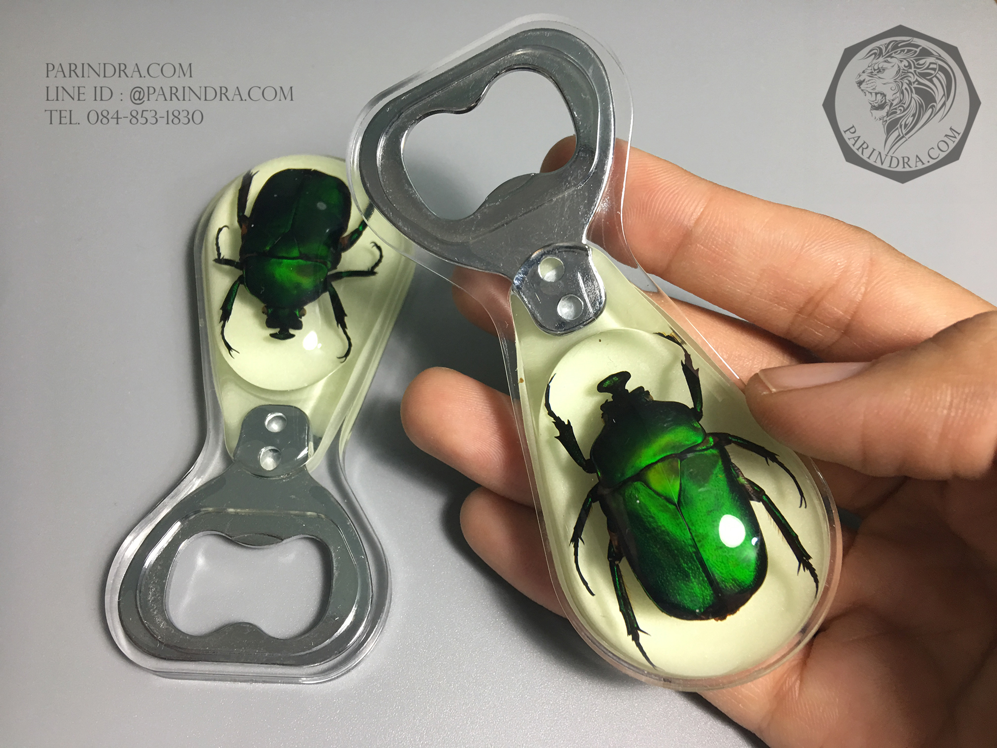 ที่เปิดขวด แมลงทับสีเขียวในเรซิ่น แบบมีแม่เหล็กติดกับตู้เย็น