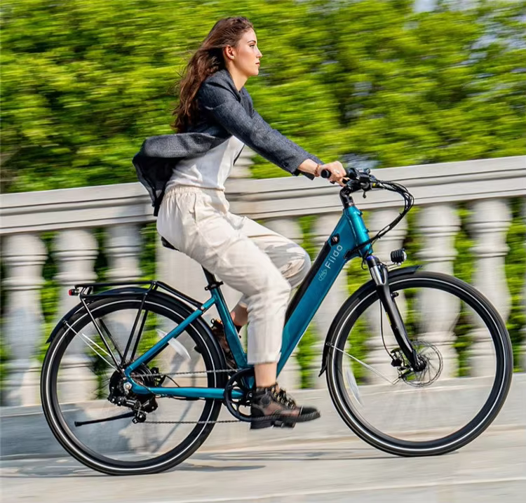จักรยานไฟฟ้า FIIDO C11 Pro – มอเตอร์ 250W, แบตเตอรี่ 48V 10.4Ah, เซนเซอร์แรงบิด, เบรกไฮดรอลิก | จักรยานไฟฟ้าเมือง 27.5 นิ้ว