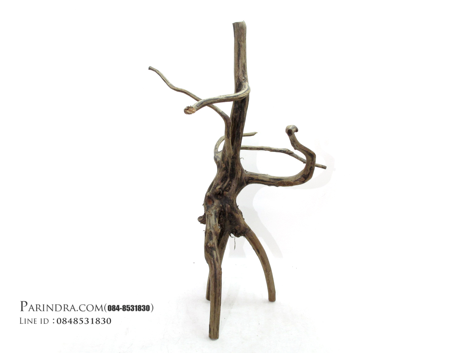 ขอนไม้ตกแต่งตู้ปลาหรือใช้เลี้ยงสัตว์เลื้อยคลาน 015