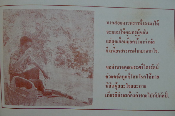 หอมกลิ่นกล้วยไม้ : ระพี สาคริก