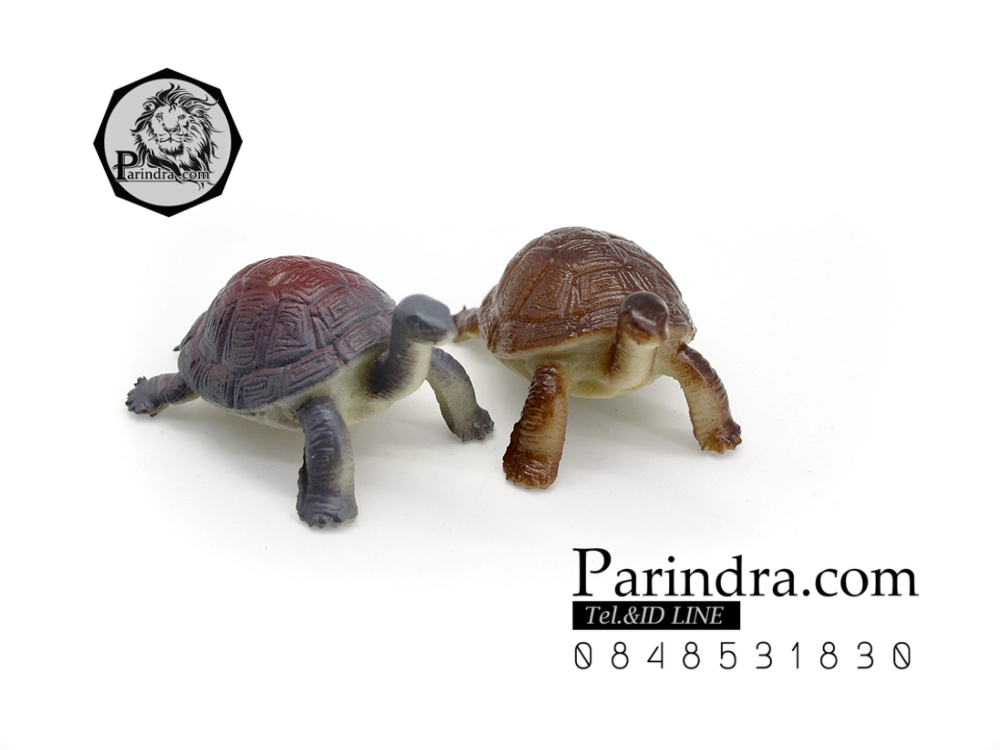 โมเดลเต่ายักษ์กาลาปากอส ชุดคู่สองตัว