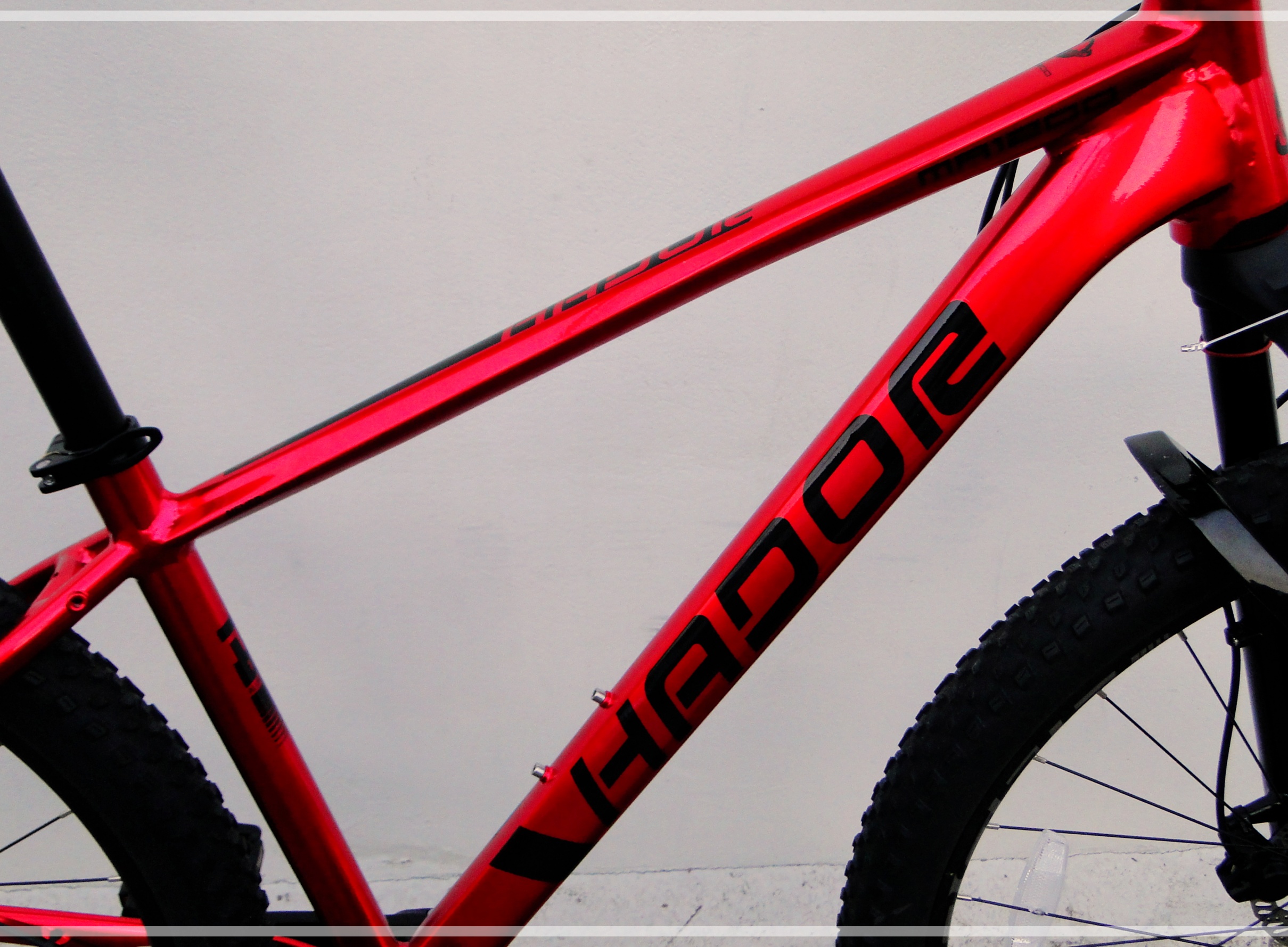 HADOR MA1200 ALLOY 29ER 2021 12 speeds LTWOO