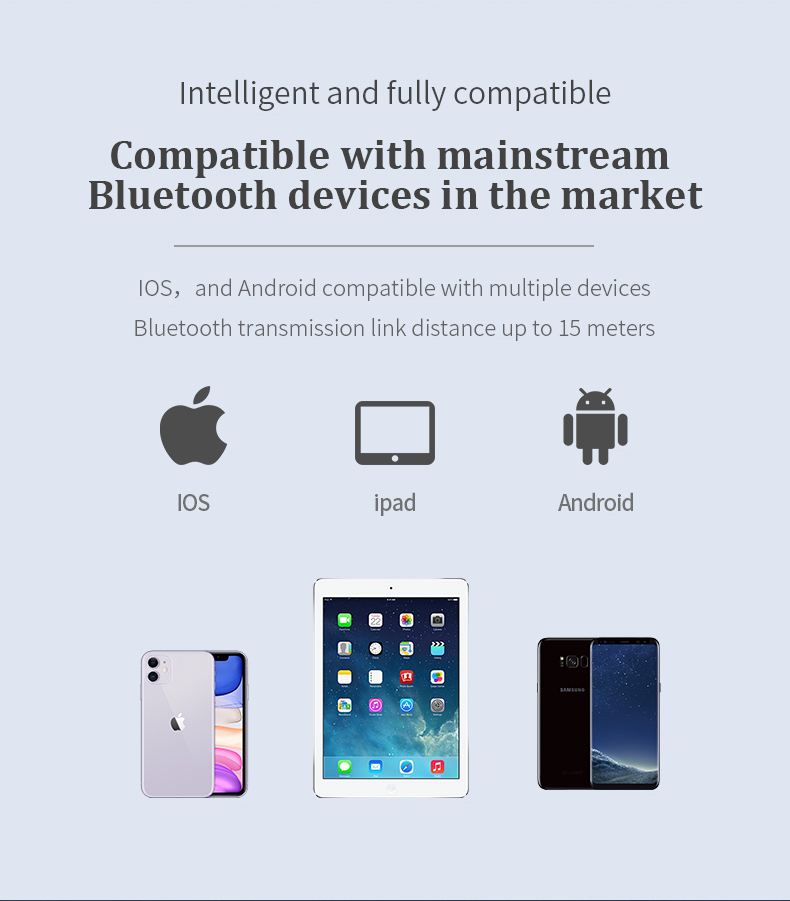 ขาย BGVP Z01 หูฟัง TWS + ลำโพงพกพา ครบจบในตัวเดียว