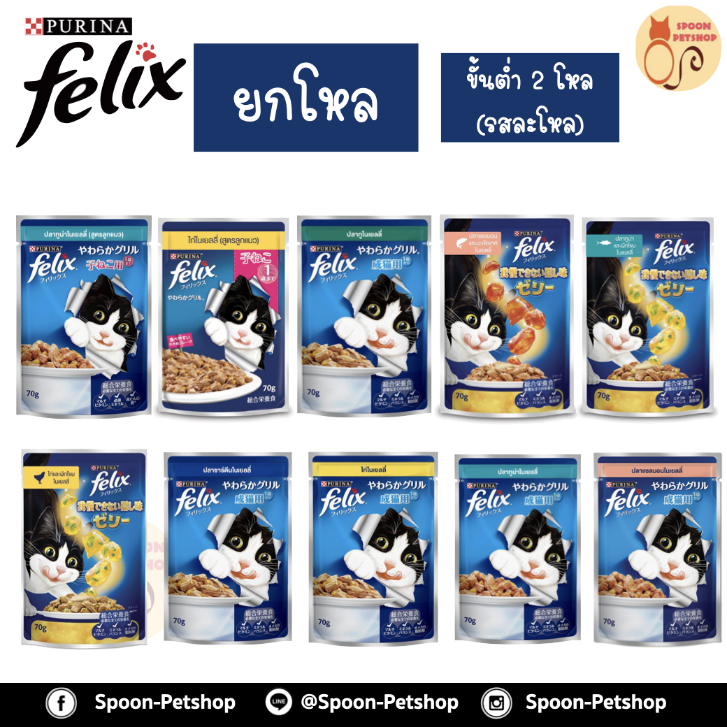 [ยกโหล] Felix อาหารเปียก ซอง เฟลิกซ์ สำหรับแมว ขนาด 70 กรัม (ขั้นต่ำ 2 โหล คละรสในโหลไม่ได้)