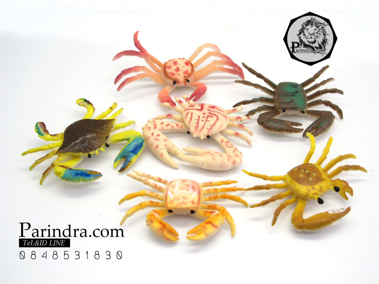 โมเดลชุดปูทะเล Educational Toys SEA CRAB มีหลายสีหลายชนิด ครบชุด 6 ตัว