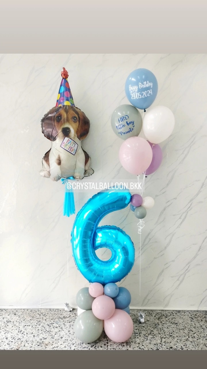 ลูกโป่ง วันเกิดเด็ก ฟอยล์บีเกิ้ล Anagram 1 ชิ้น พร้อม ฟอยล์ตัวเลข ขนาด 40" ตั้งฐาน 1 ชิ้น,ช่อลูกโป่ง ช่อ 5 ลูก 1 ช่อ พร้อมตกแต่ง สามารถเปลี่ยนสีลูกโป่ง/เปลี่ยนสี-ฟอยล์ตัวเลข/เปลี่ยนฟอยล์ตกแต่งได้