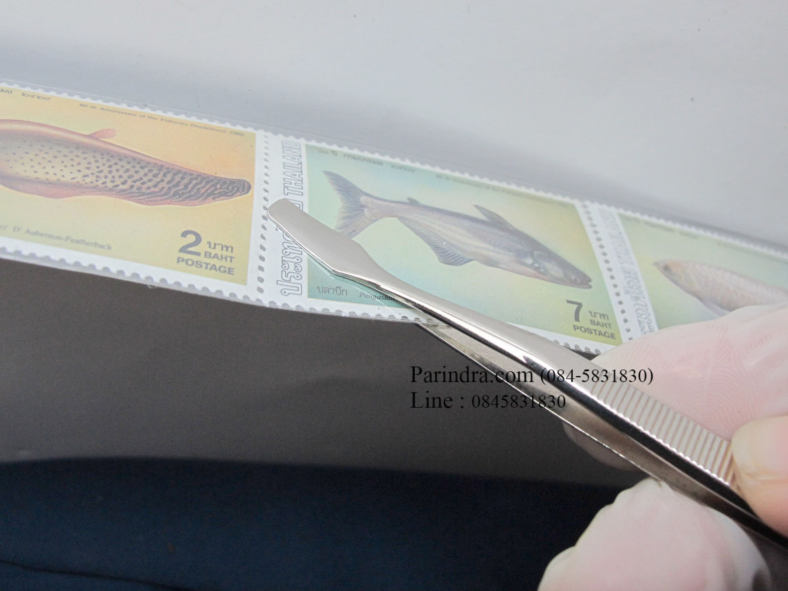 ปากคีบแสตมป์ PRINZ จาก เยอรมัน Germany ใช้หยิบหรือจับแสตมป์ (อย่างดี)