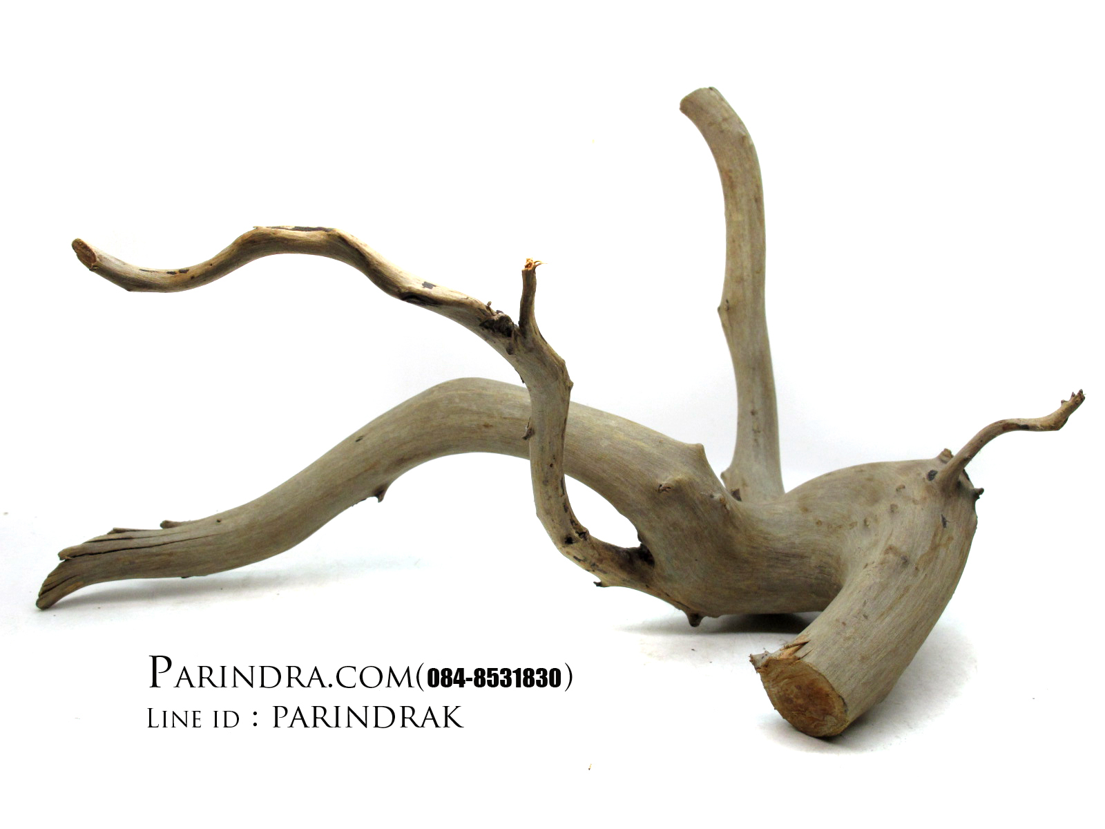 ขอนไม้ตกแต่งตู้ปลาหรือใช้เลี้ยงสัตว์เลื้อยคลาน 003