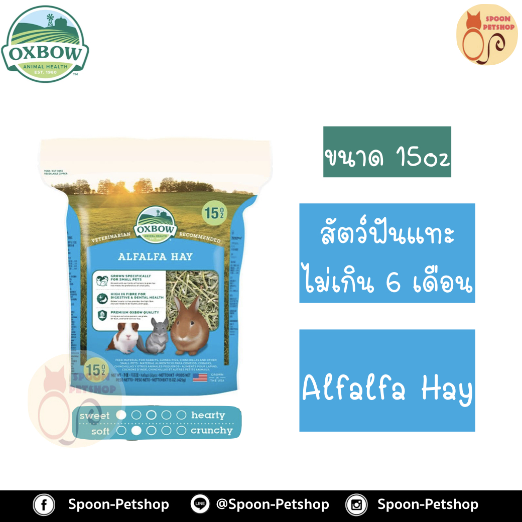 Oxbow Alfalfa Hay หญ้า อ็อกซ์โบว์ อัลฟาฟ่า สำหรับสัตว์ฟันแทะ กระต่าย กระรอก หนูแฮมสเตอร์ หนูแกสบี้ อายุไม่เกิน 6 เดือน ขนาด 15Oz