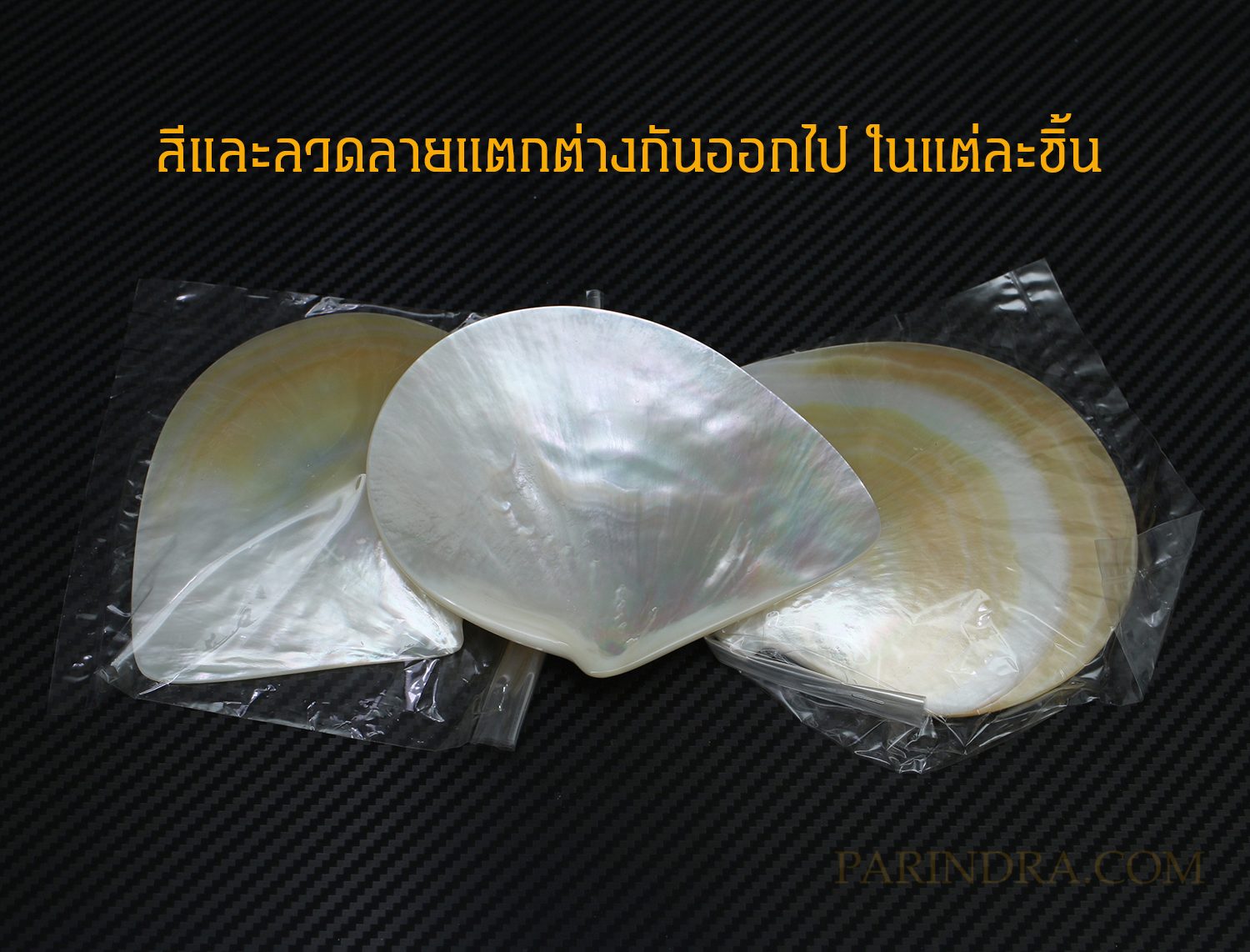 เปลือกหอยมุกจานขาว WHITE PEARL ขัดมันแวววาว สวยงาม