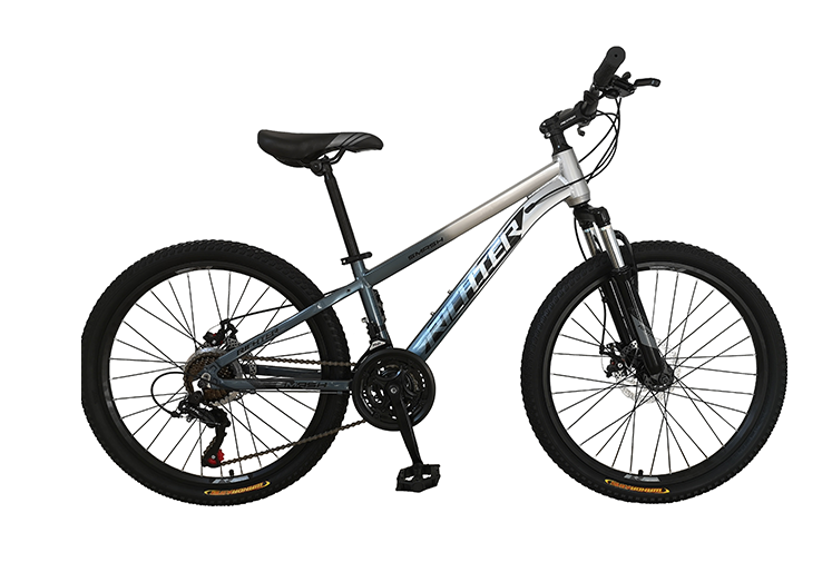 Mountain bike, aluminum frame, Richter Bike, Smash model, wheels 24 ", gear 21 speed, aluminum frame, hidden cable, year 2023