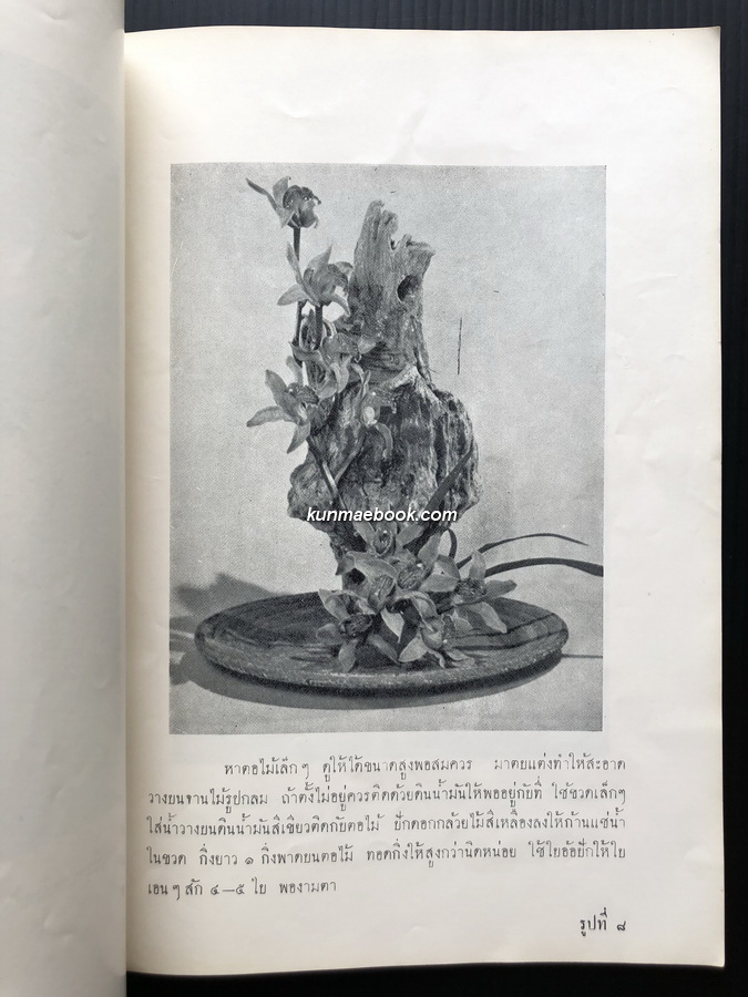 การแต่งห้องและจัดดอกไม้ / อนุสรณ์ นางเทพคีรี (สมบูรณ์ หัพนานนท์)