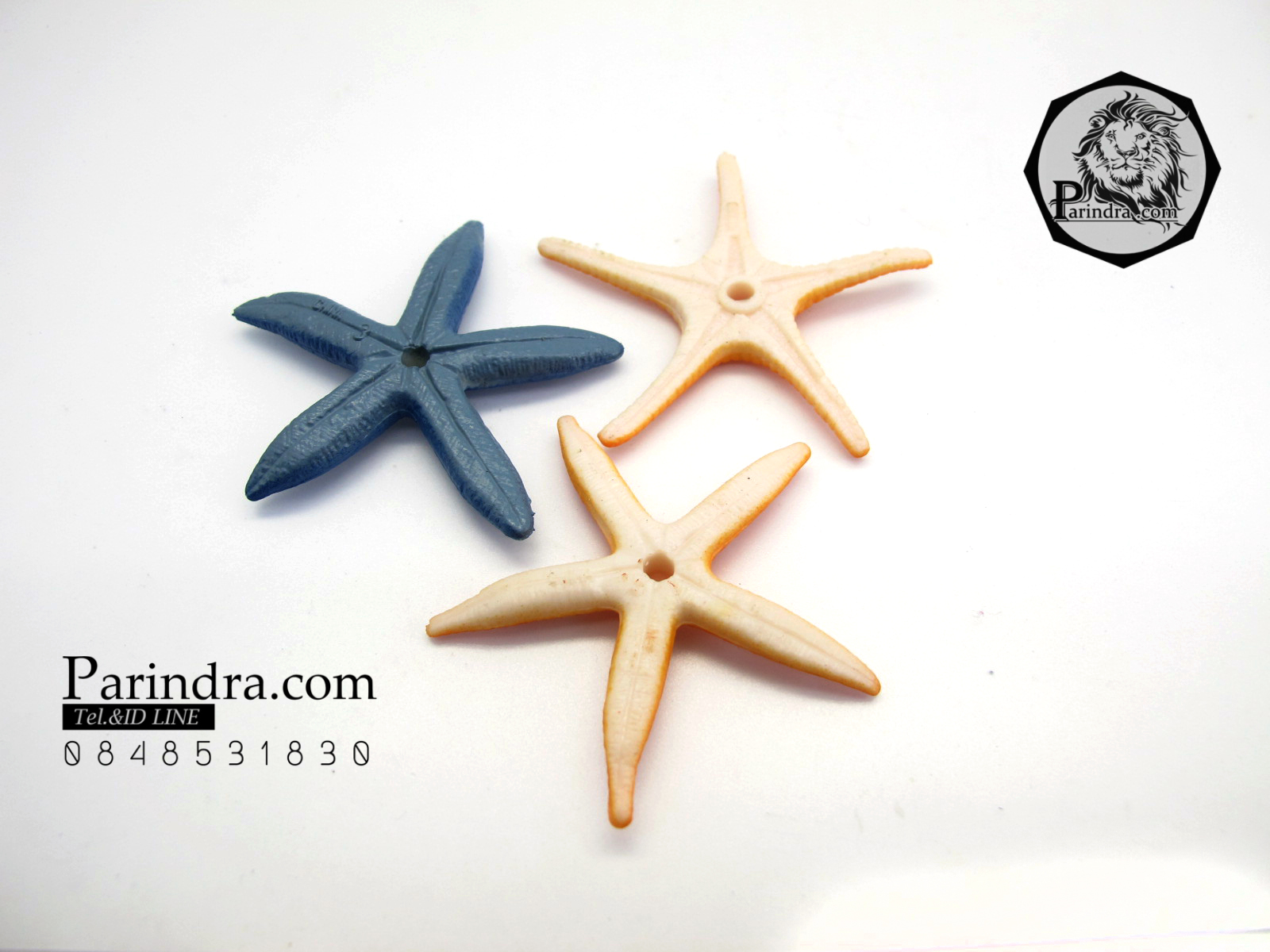 โมเดลดาวทะเลชุด Educational Toys Sea Star Fish