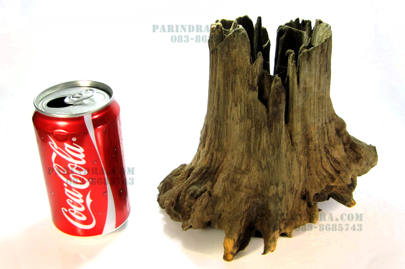 ขอนไม้ ตอไม้ สำหรับตกแต่งตู้ปลา