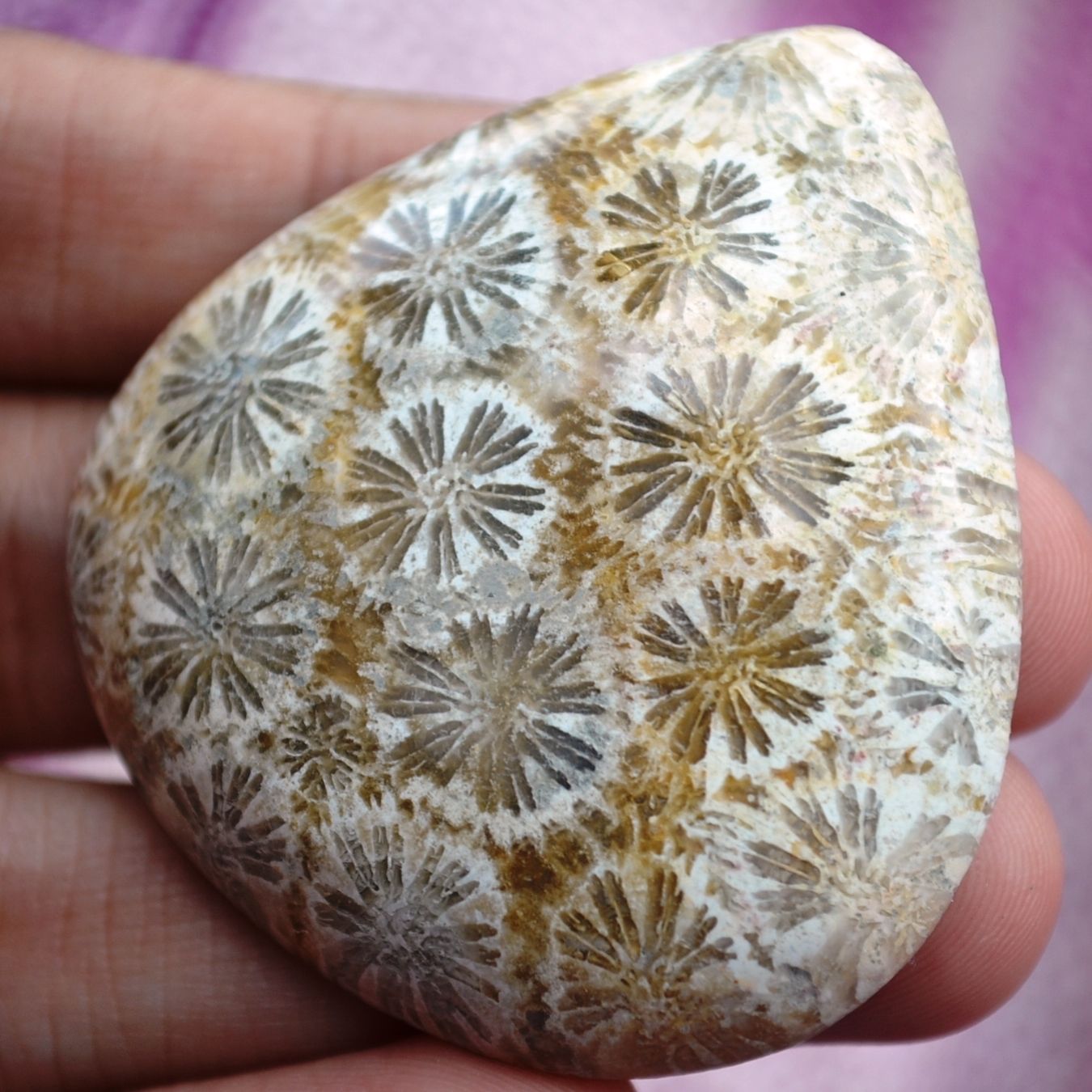 ฟอสซิลหินปะการังขัด Fossil Coral ใหญ่และหนา สำหรับห้อยคอ หรือ พวงกุญแจ คัดสวยพิเศษ #CRF021