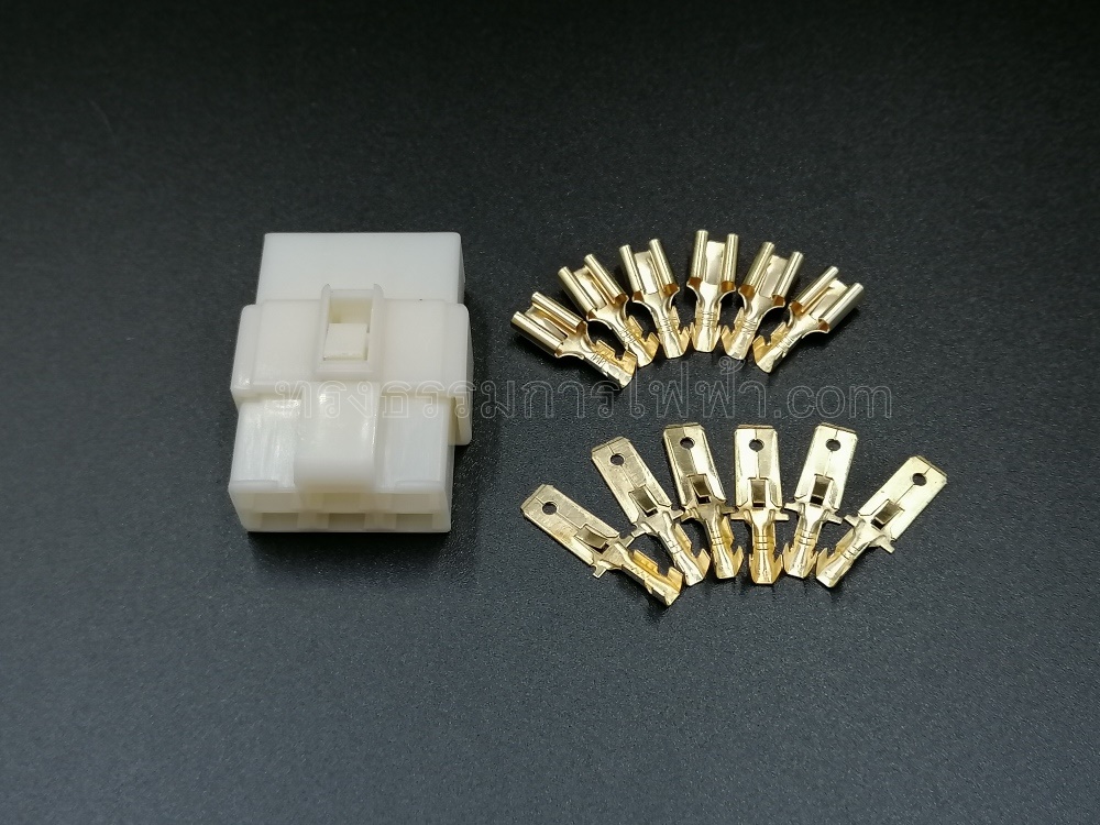 ช็อกเก็ต+หางปลา 6P(ใหญ่)