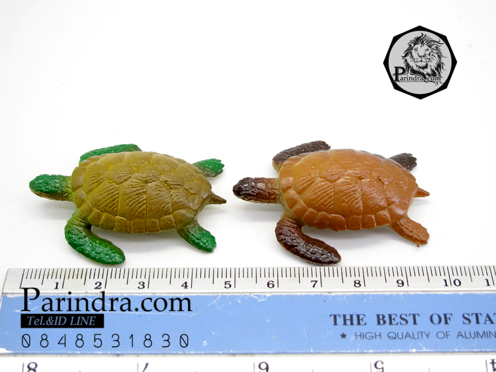 โมเดลเต่าทะเล ชุดคู่สองตัว