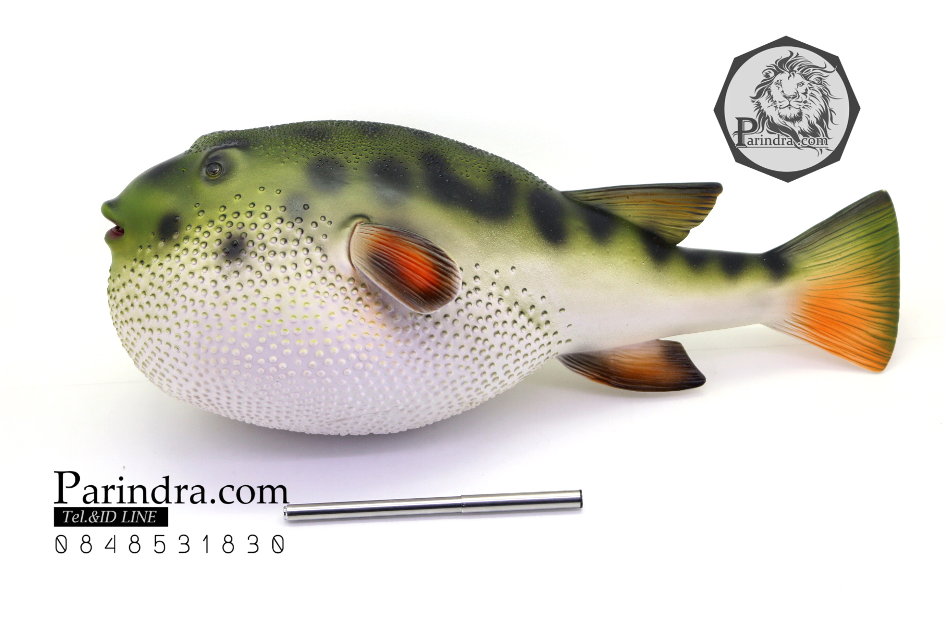 โมเดลปลาปักเป้า PUFFER Fish แบบยางอ่อนนุ่มนิ่ม ตั้งโชว์สวย ขนาดใหญ่ 14 นิ้ว