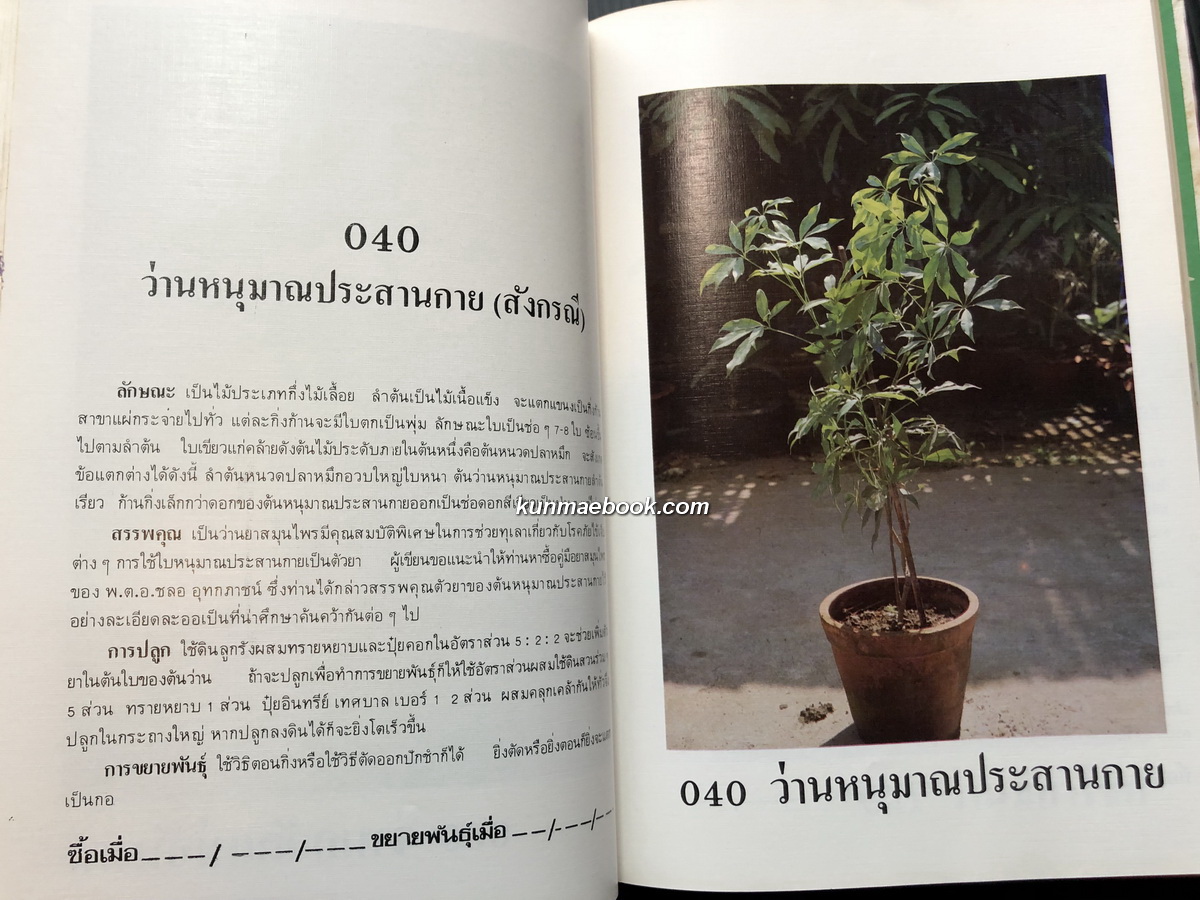 คัมภีร์ว่านและไม้มงคล (ฉบับสมบูรณ์) ผลงานของ สนั่น ทวีสมบัติ