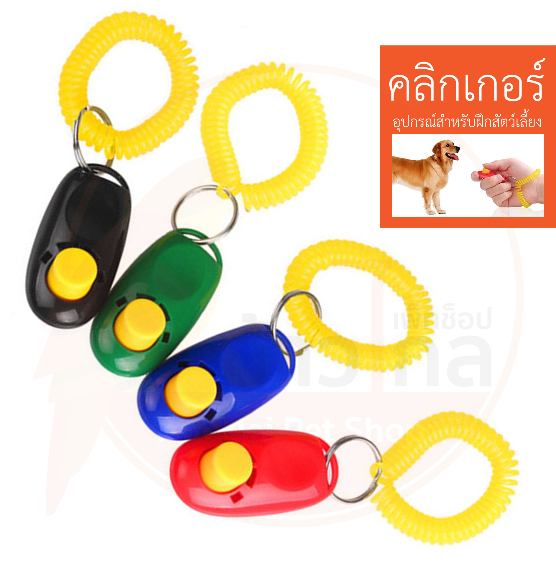 คลิกเกอร์ สำหรับฝึกสัตว์เลี้ยง สำหรับฝึกสุนัข Pet Training Clicker