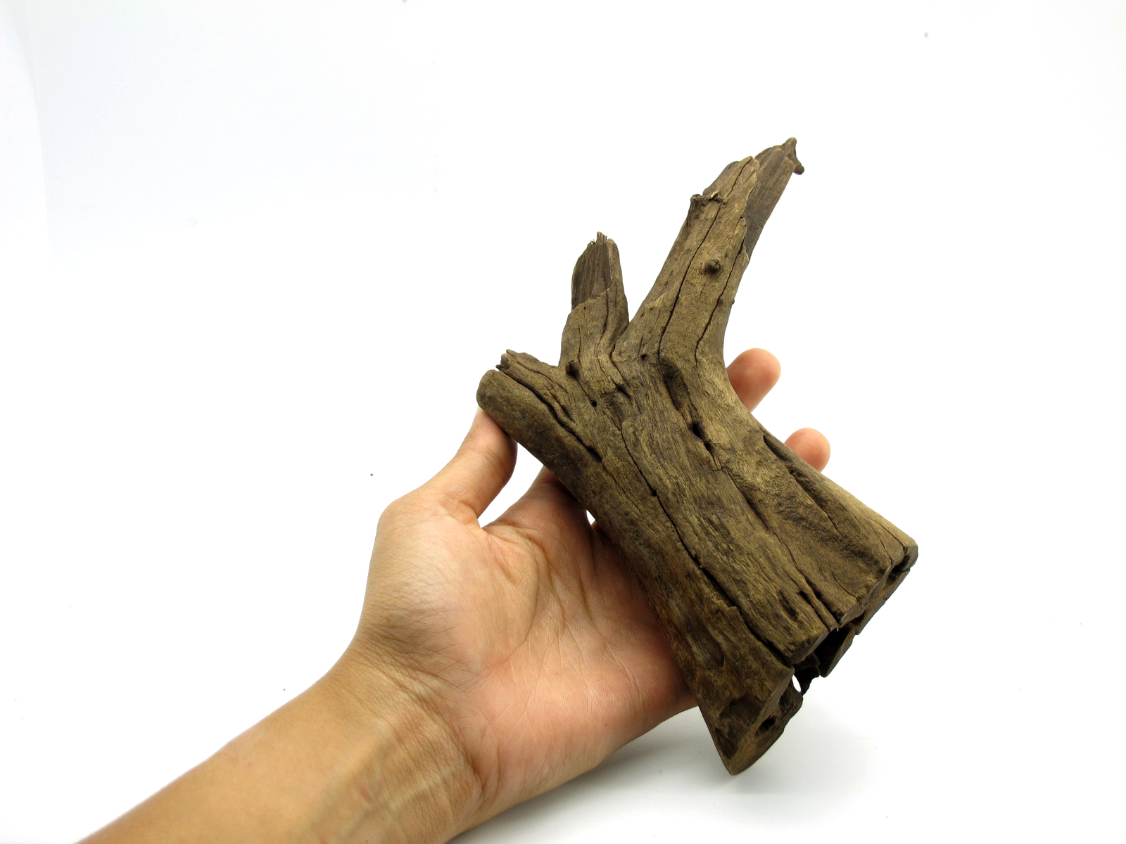 ขอนไม้ตกแต่งตู้ปลาหรือใช้เลี้ยงสัตว์เลื้อยคลาน 068