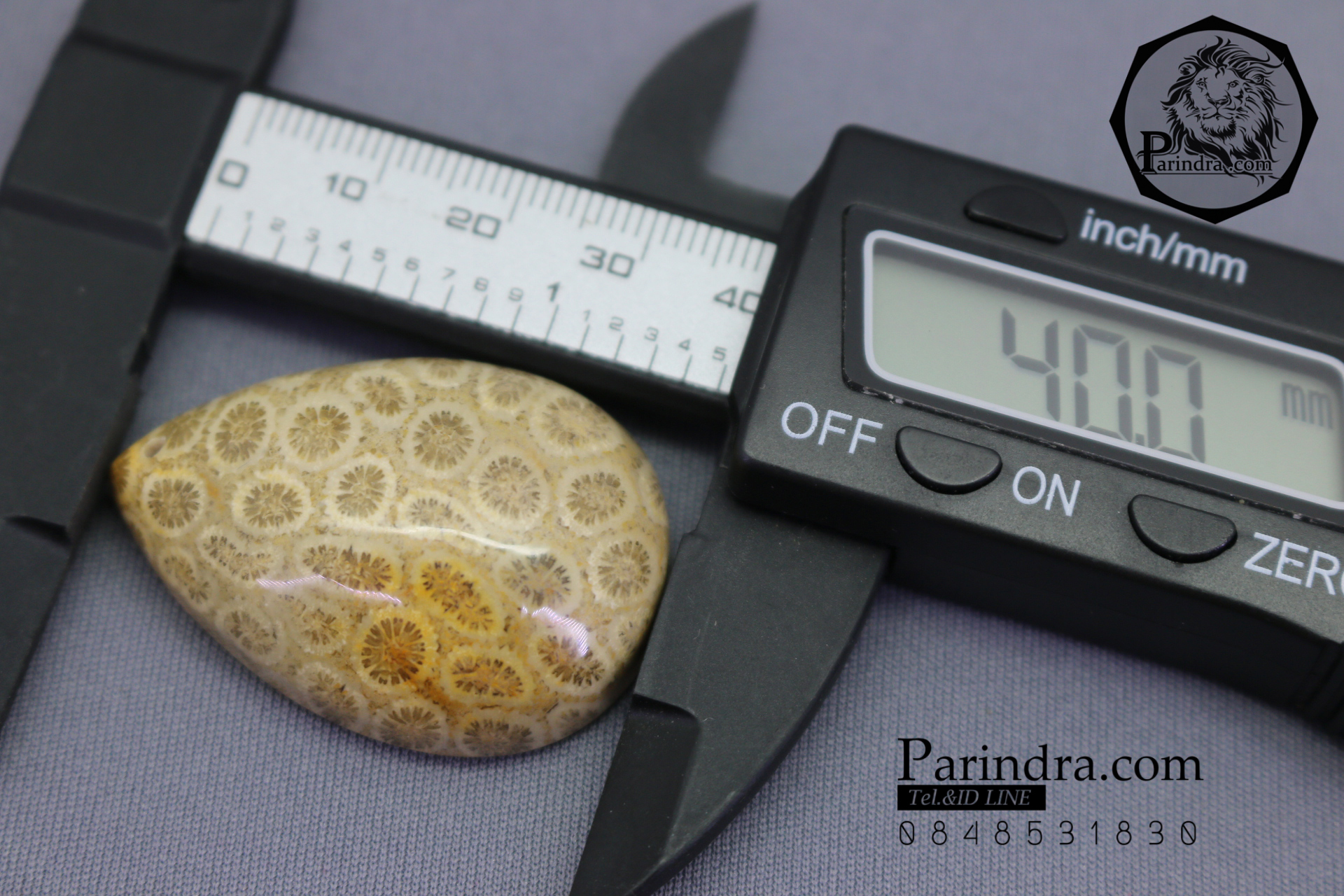 ฟอสซิลหินปะการังขัด Fossil Coral ใหญ่และหนา สำหรับห้อยคอ หรือ พวงกุญแจ คัดสวยพิเศษ #CRF014