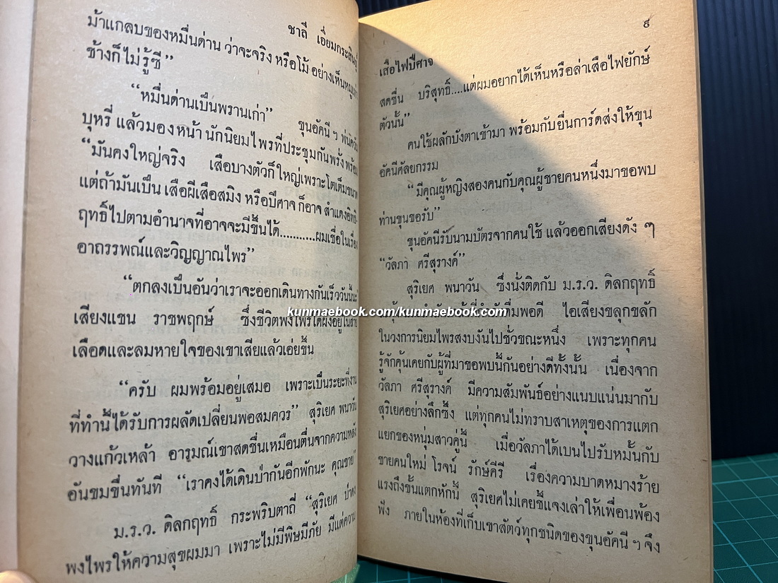 ดงพญาไฟ ผลงานของ ชาลี เอี่ยมกระสินธุ์