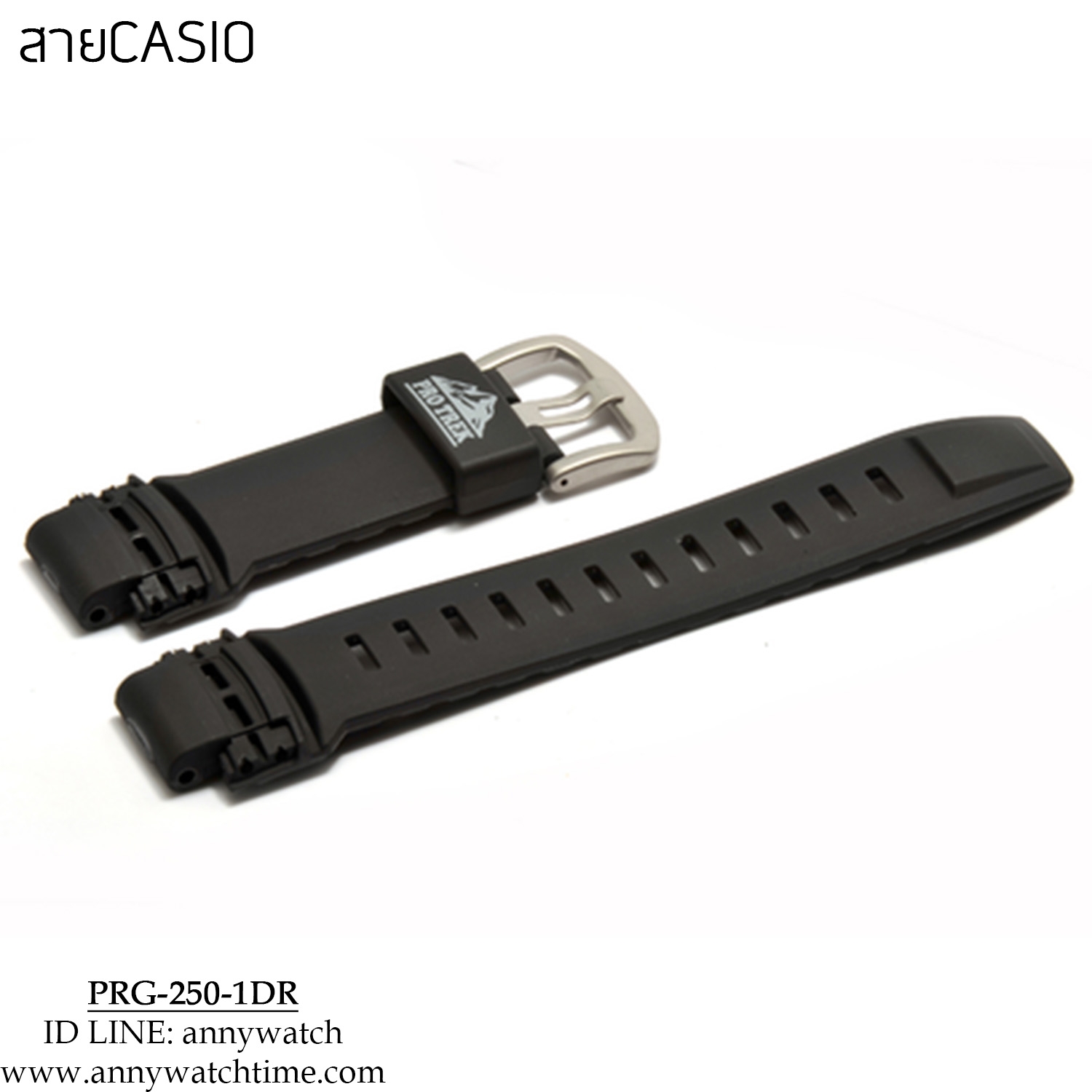 สายCASIO PRG-250-1DR