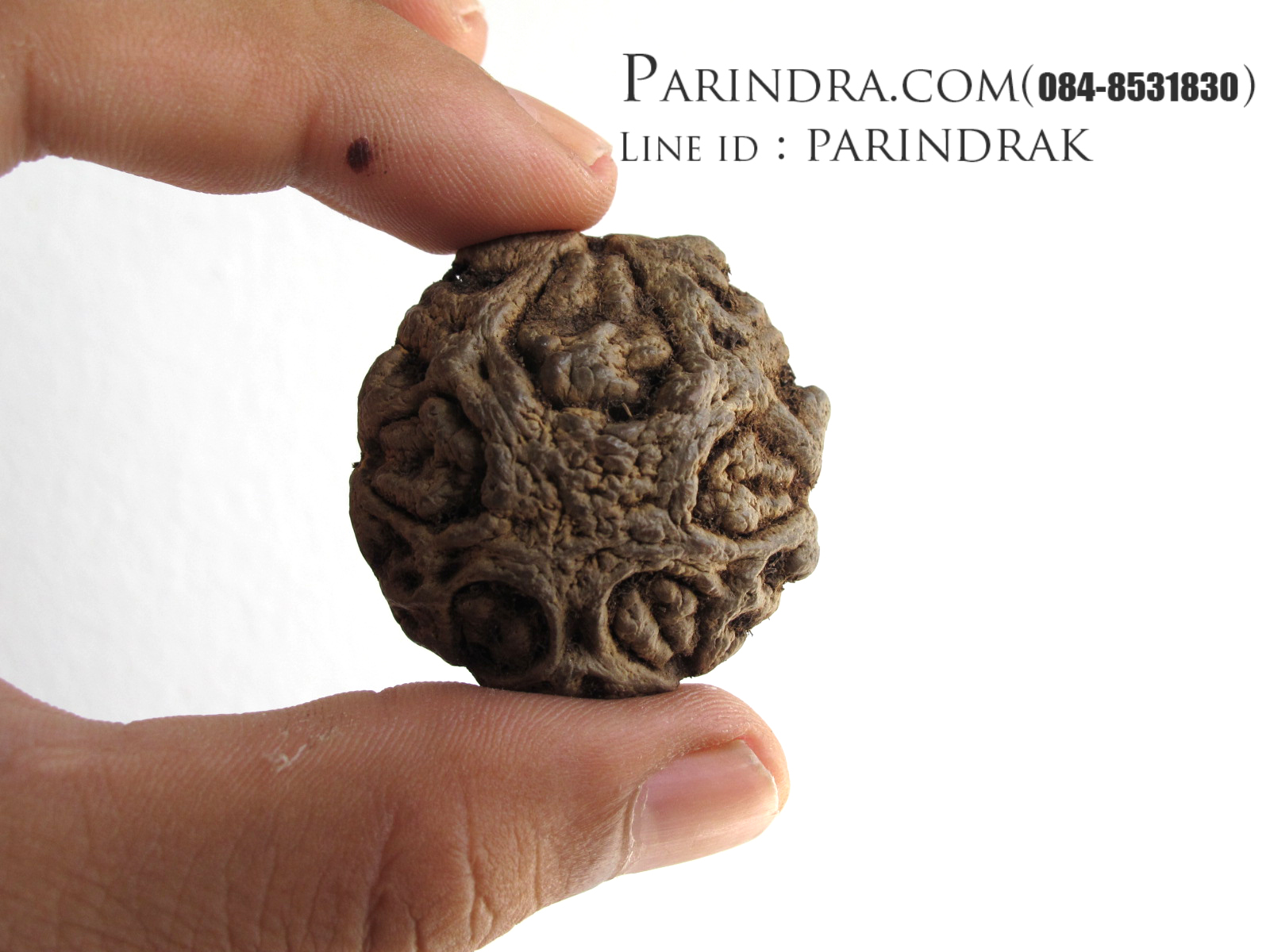 ลูกว่านพระเจ้า 5 พระองค์