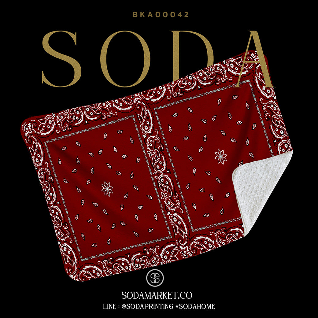 ผ้าห่มอเนกประสงค์ Paisley Collection รหัส BKA00042 #SOdAblanket #SodAhome