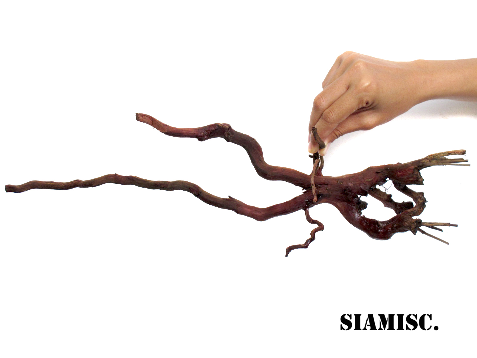 รากไม้แดงตกแต่งตู้ปลาหรือใช้เลี้ยงสัตว์เลื้อยคลาน 023