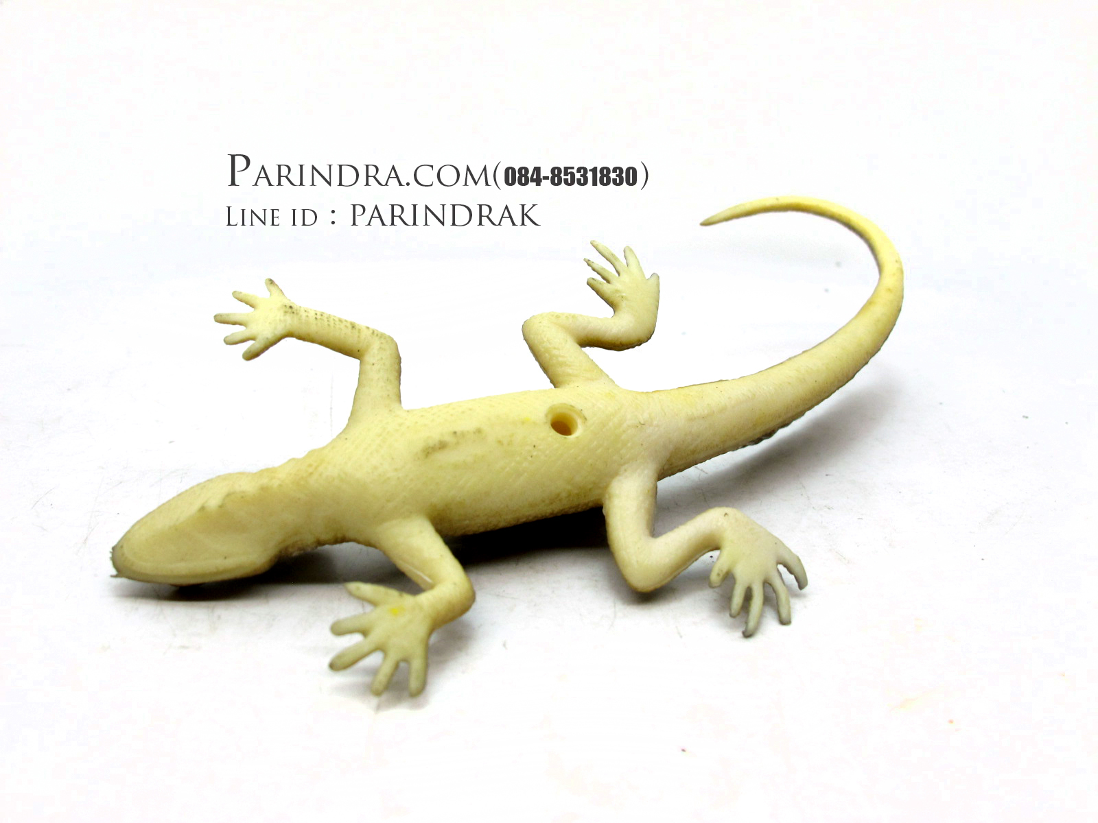 โมเดลกิ้งก่าบาซิลิสก์ Basilisk Lizard model