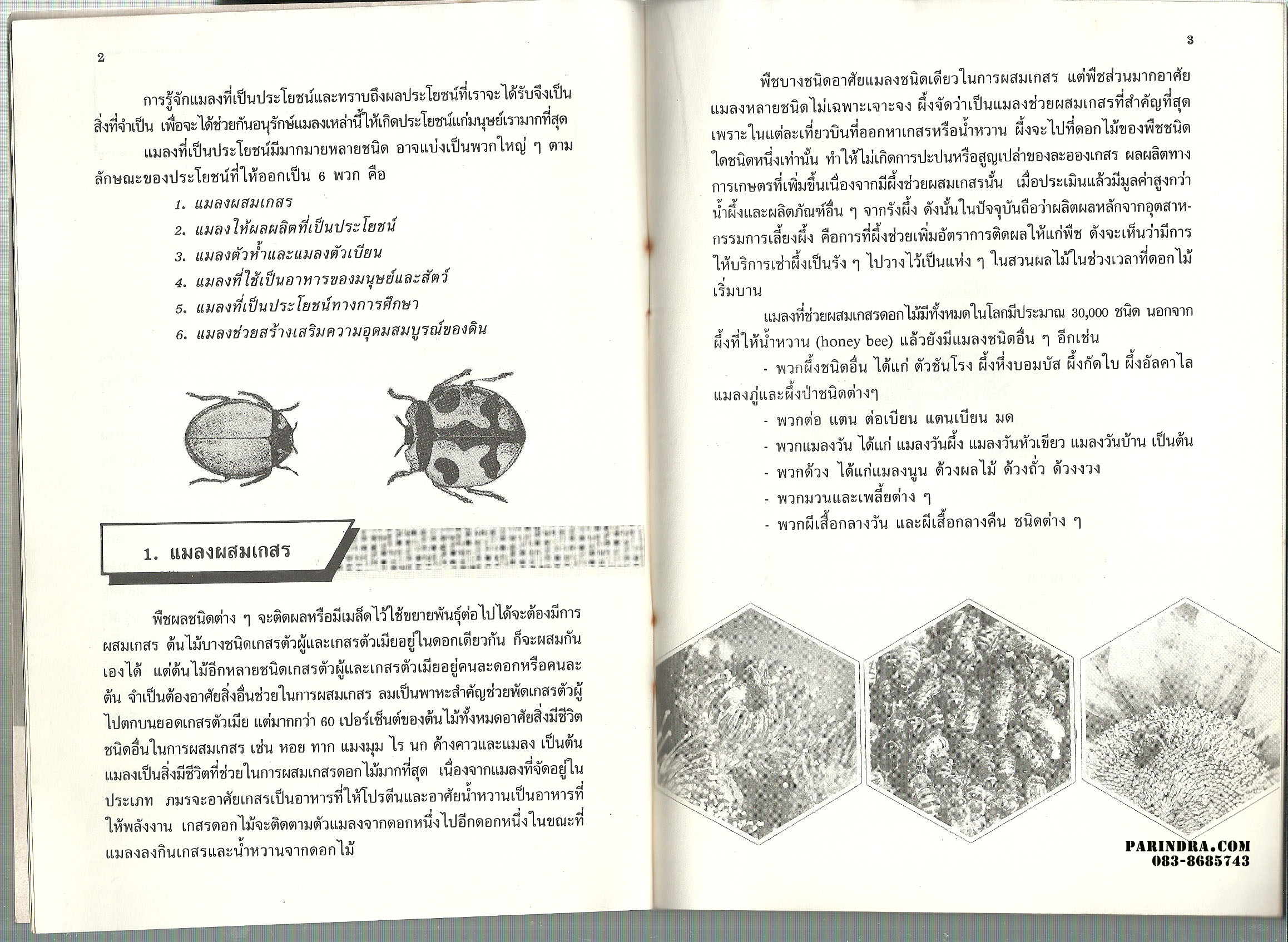 แมลงที่เป็นประโยชน์