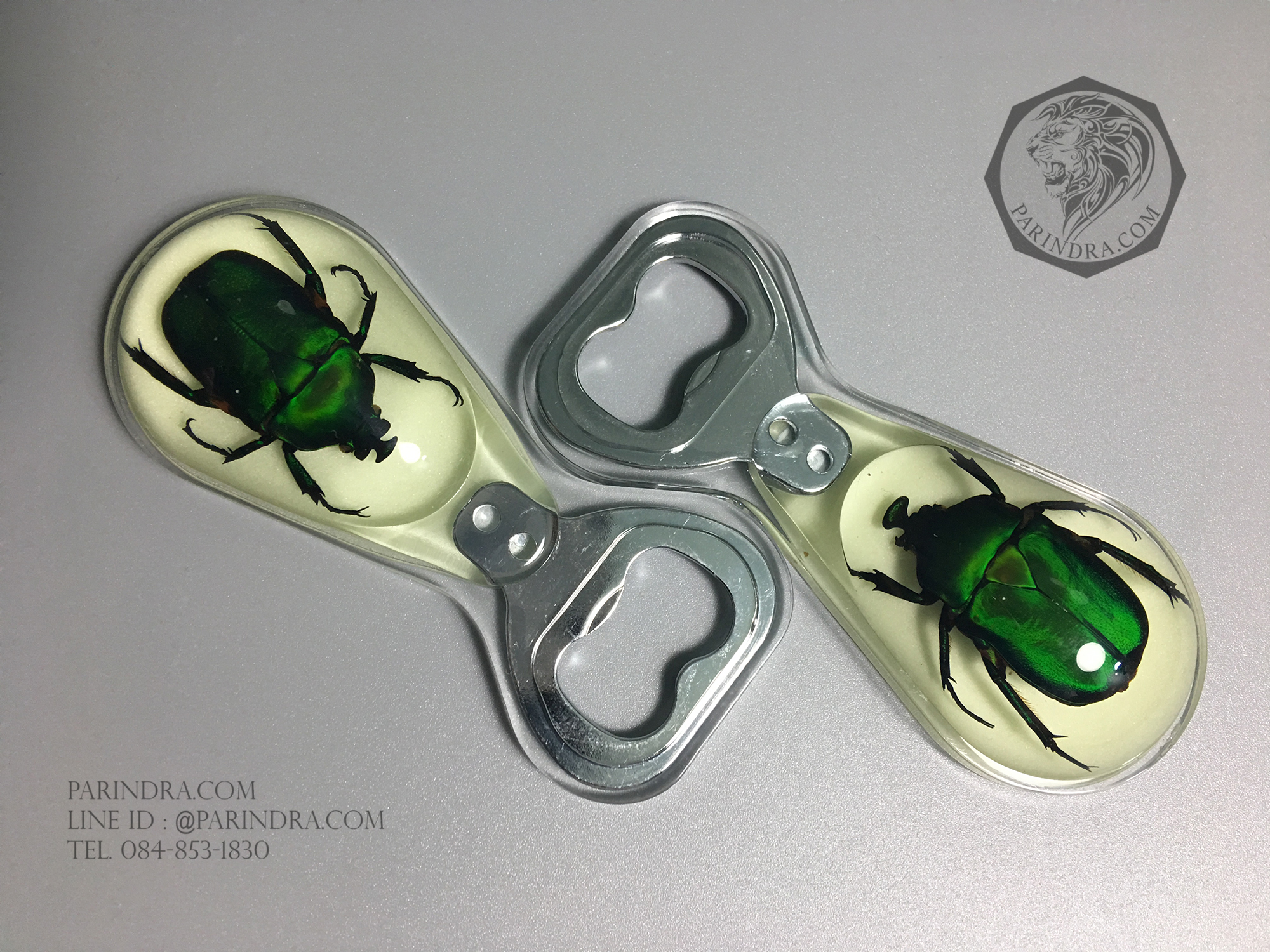 ที่เปิดขวด แมลงทับสีเขียวในเรซิ่น แบบมีแม่เหล็กติดกับตู้เย็น