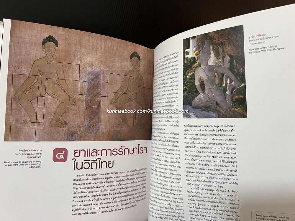 ภูมิปัญญาไทย : วิถีไทย ( Thai wisdom : Thai ways of life ) โดย วิบูลย์ ลี้สุวรรณ *ปกโดย ช่วง มูลพินิจ