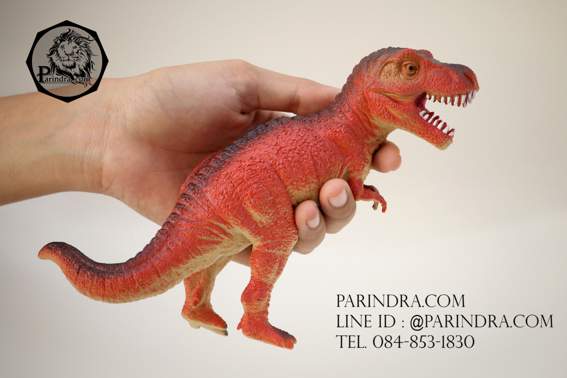 โมเดลไดโนเสาร์ Tyrannosaurus Rex (T-Rex)