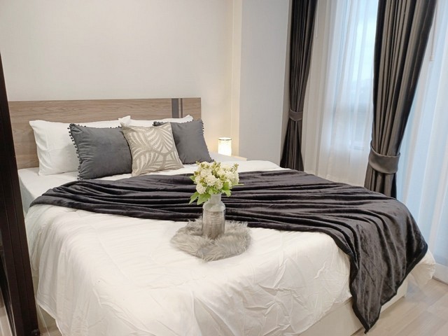 ให้เช่าคอนโด พลัม สะพานใหม่ สเตชั่น ตึก C 24 ตร.ม. ห้องใหม่ เฟอร์ครบ ใกล้ BTS สะพานใหม่