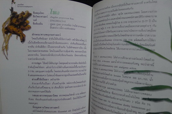 อนุสรณ์ในงานพระราชทานเพลิงศพ นางเรียง หนุนภักดี